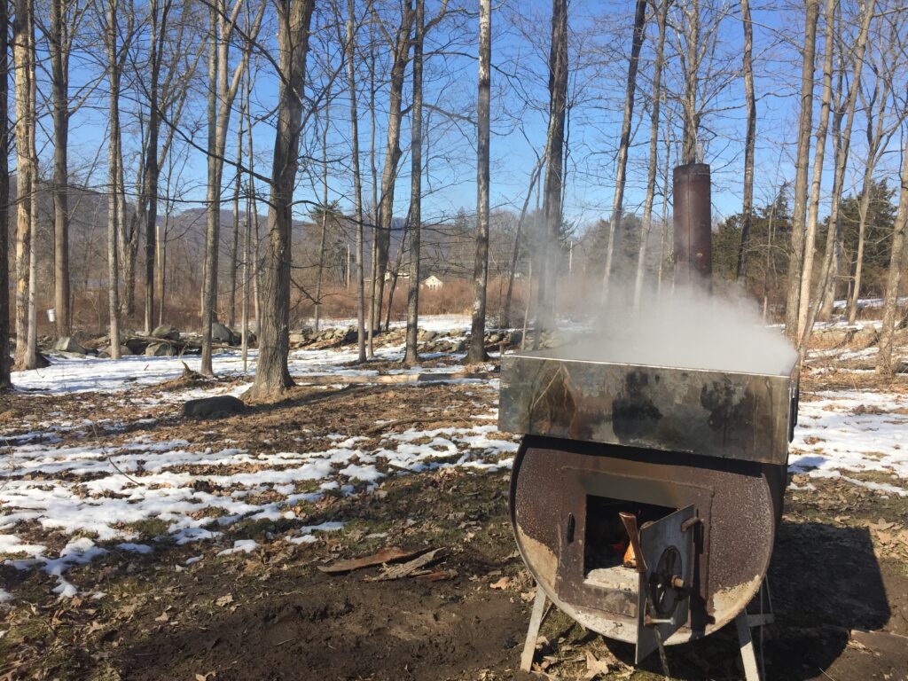 Sugaring on Saturday