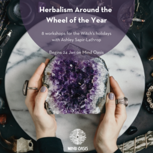 Herbalism Around the Wheel of the Year